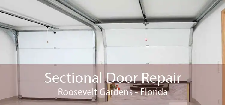 Sectional Door Repair Roosevelt Gardens - Florida