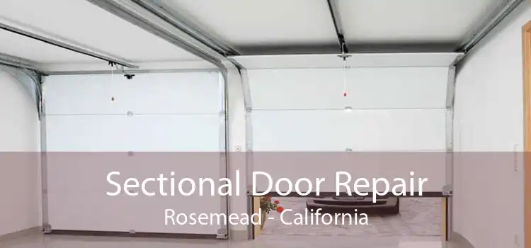 Sectional Door Repair Rosemead - California
