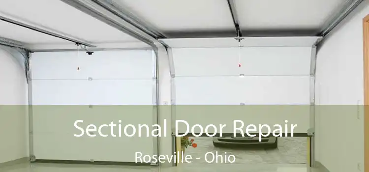 Sectional Door Repair Roseville - Ohio