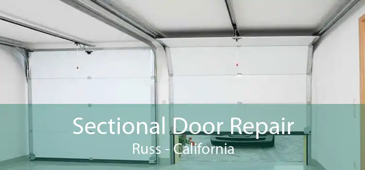 Sectional Door Repair Russ - California
