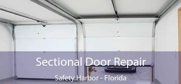 Sectional Door Repair Safety Harbor - Florida