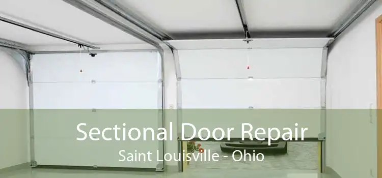 Sectional Door Repair Saint Louisville - Ohio