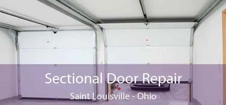 Sectional Door Repair Saint Louisville - Ohio