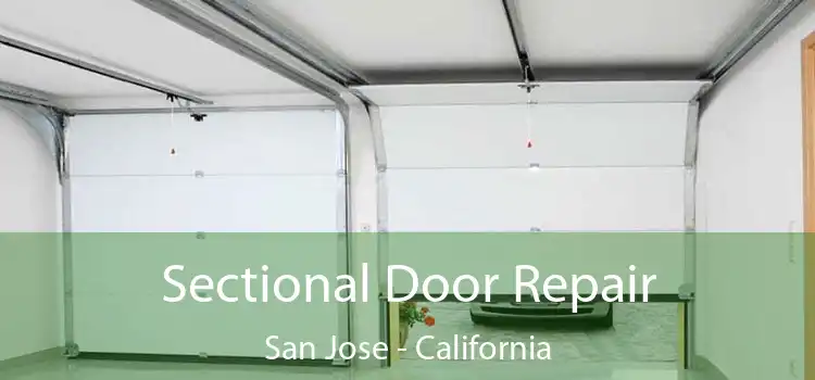 Sectional Door Repair San Jose - California