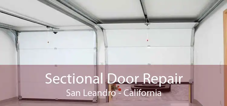 Sectional Door Repair San Leandro - California