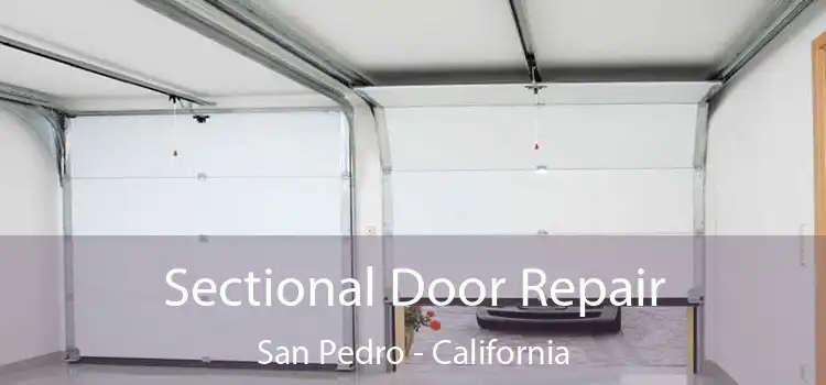 Sectional Door Repair San Pedro - California