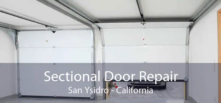 Sectional Door Repair San Ysidro - California
