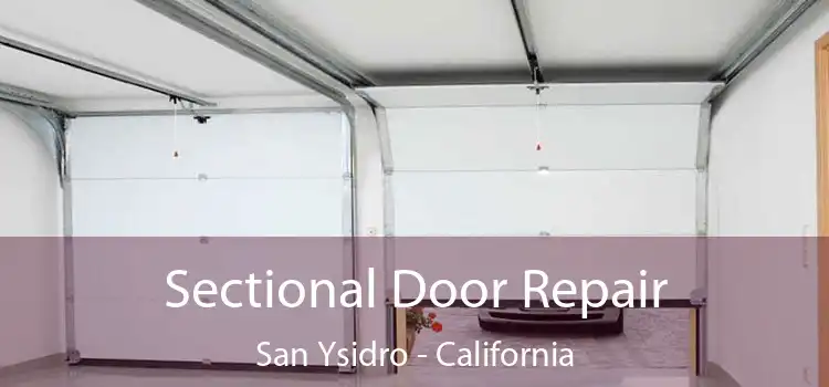 Sectional Door Repair San Ysidro - California