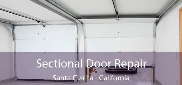 Sectional Door Repair Santa Clarita - California