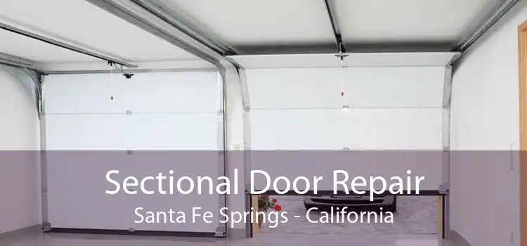 Sectional Door Repair Santa Fe Springs - California