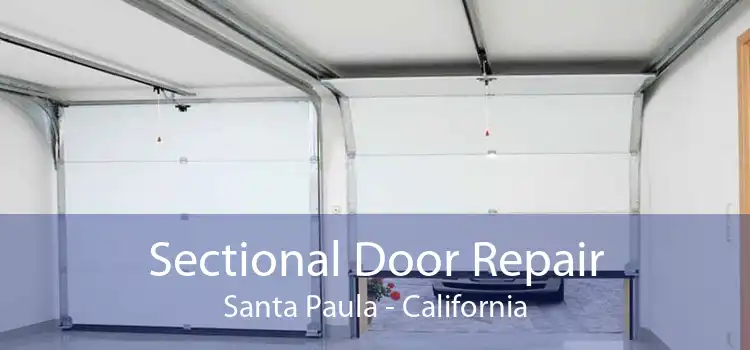 Sectional Door Repair Santa Paula - California