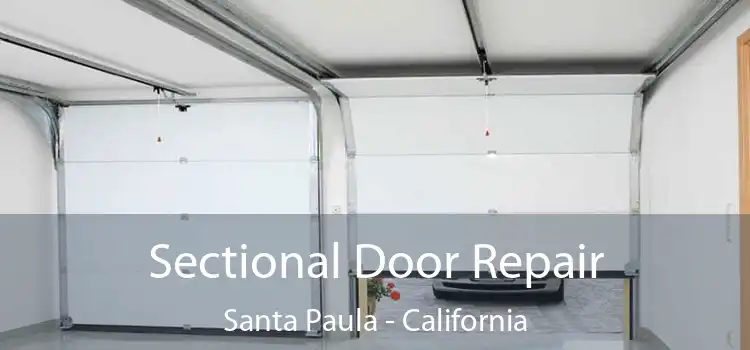 Sectional Door Repair Santa Paula - California