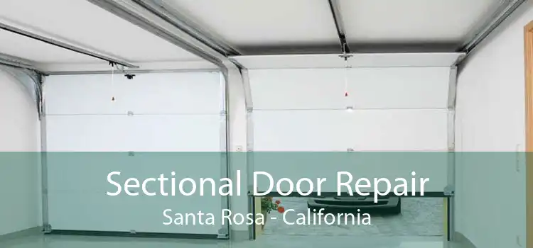 Sectional Door Repair Santa Rosa - California