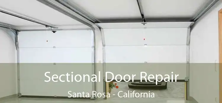 Sectional Door Repair Santa Rosa - California