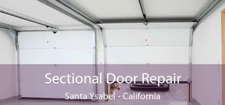 Sectional Door Repair Santa Ysabel - California