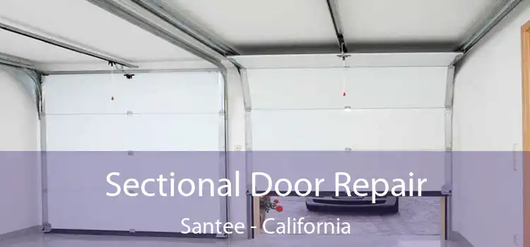 Sectional Door Repair Santee - California