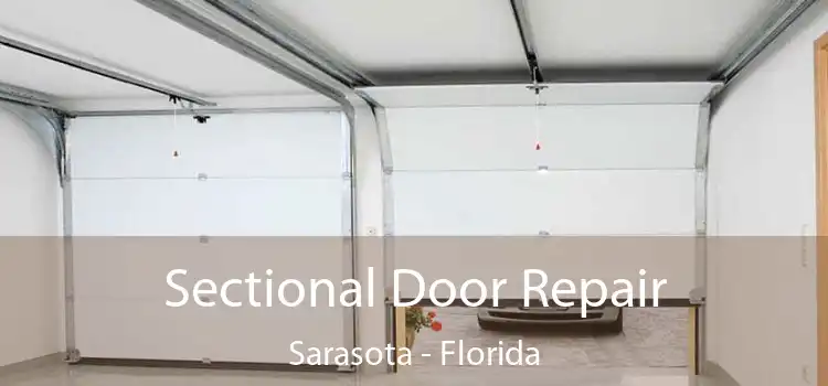 Sectional Door Repair Sarasota - Florida