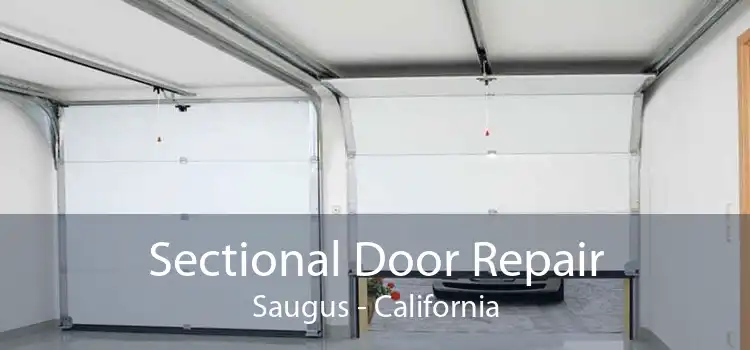 Sectional Door Repair Saugus - California