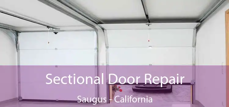 Sectional Door Repair Saugus - California