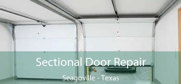 Sectional Door Repair Seagoville - Texas