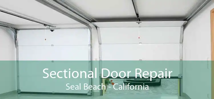 Sectional Door Repair Seal Beach - California