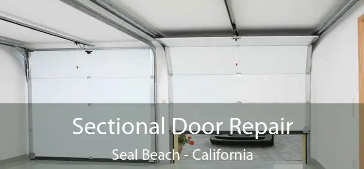 Sectional Door Repair Seal Beach - California