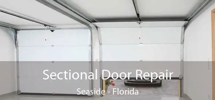 Sectional Door Repair Seaside - Florida