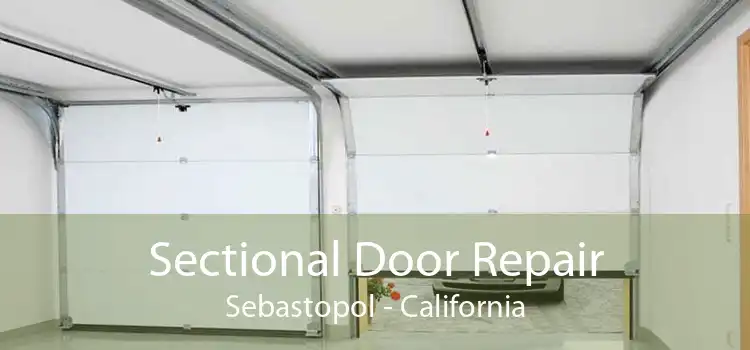 Sectional Door Repair Sebastopol - California