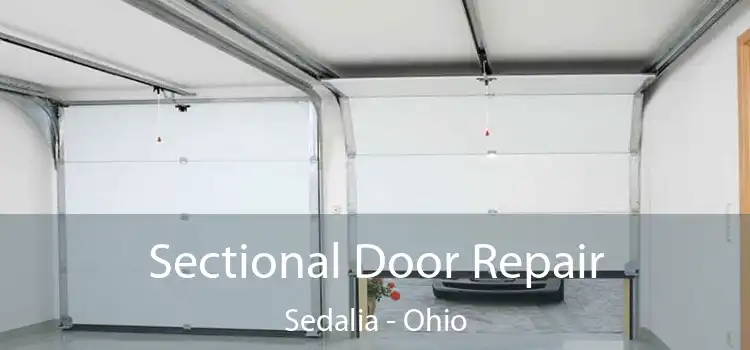 Sectional Door Repair Sedalia - Ohio