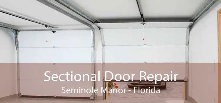 Sectional Door Repair Seminole Manor - Florida
