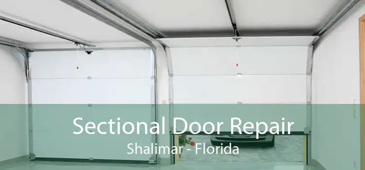 Sectional Door Repair Shalimar - Florida