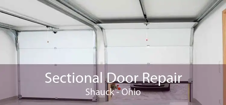 Sectional Door Repair Shauck - Ohio