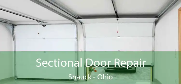 Sectional Door Repair Shauck - Ohio