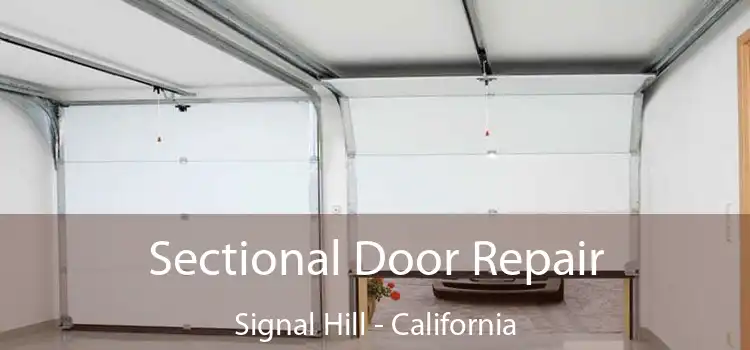 Sectional Door Repair Signal Hill - California