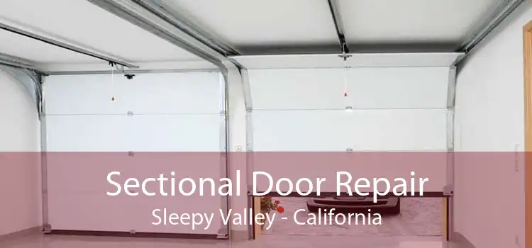 Sectional Door Repair Sleepy Valley - California
