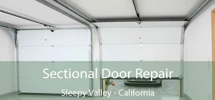 Sectional Door Repair Sleepy Valley - California