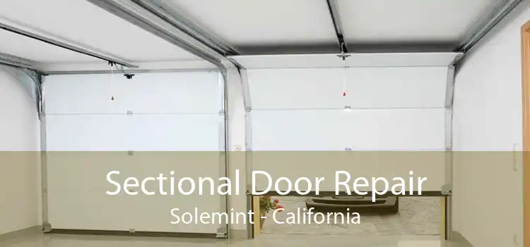 Sectional Door Repair Solemint - California