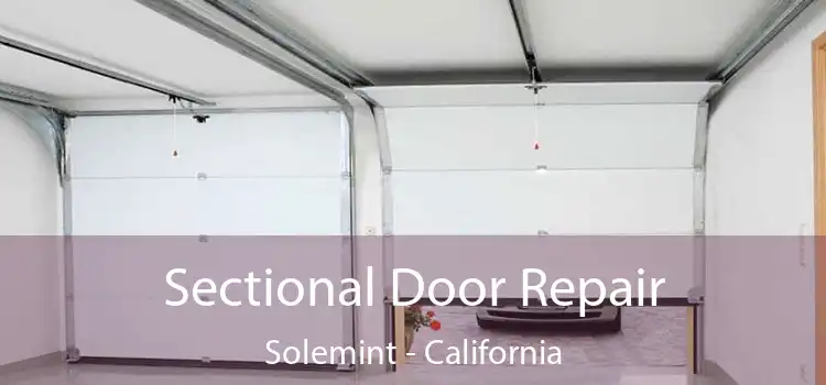 Sectional Door Repair Solemint - California