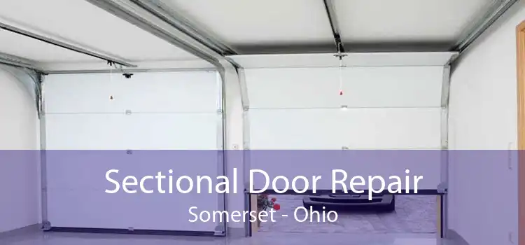 Sectional Door Repair Somerset - Ohio
