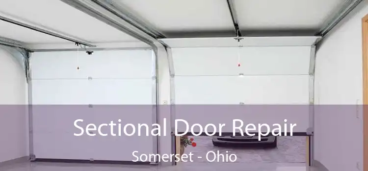 Sectional Door Repair Somerset - Ohio