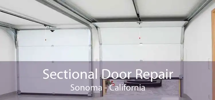 Sectional Door Repair Sonoma - California