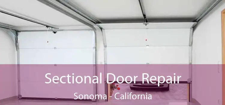 Sectional Door Repair Sonoma - California