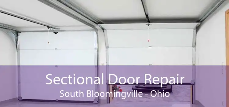 Sectional Door Repair South Bloomingville - Ohio