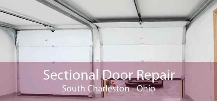 Sectional Door Repair South Charleston - Ohio