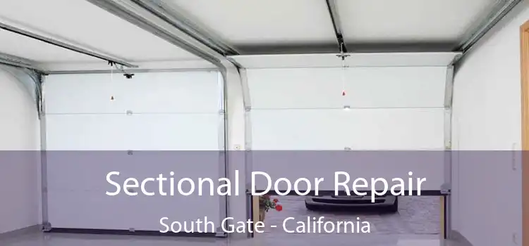 Sectional Door Repair South Gate - California