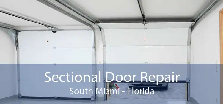 Sectional Door Repair South Miami - Florida