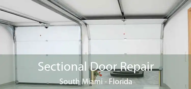 Sectional Door Repair South Miami - Florida