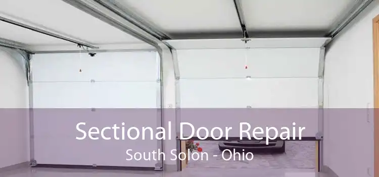 Sectional Door Repair South Solon - Ohio