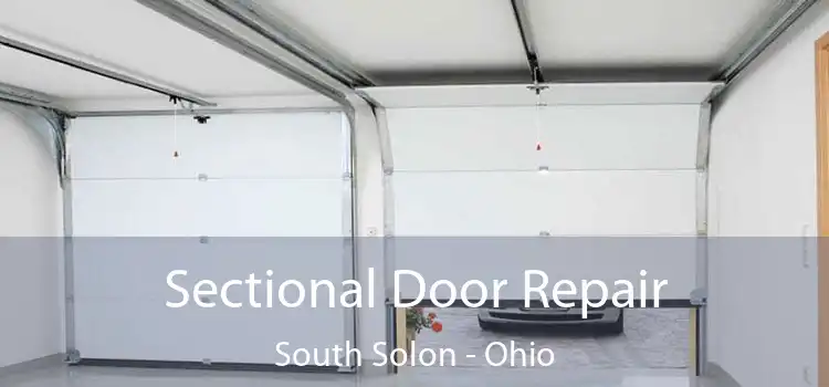 Sectional Door Repair South Solon - Ohio