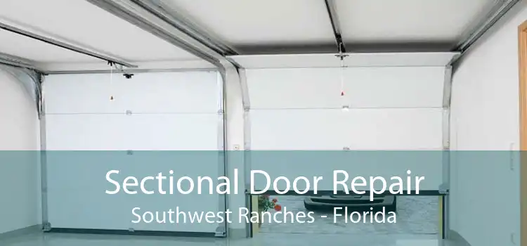 Sectional Door Repair Southwest Ranches - Florida